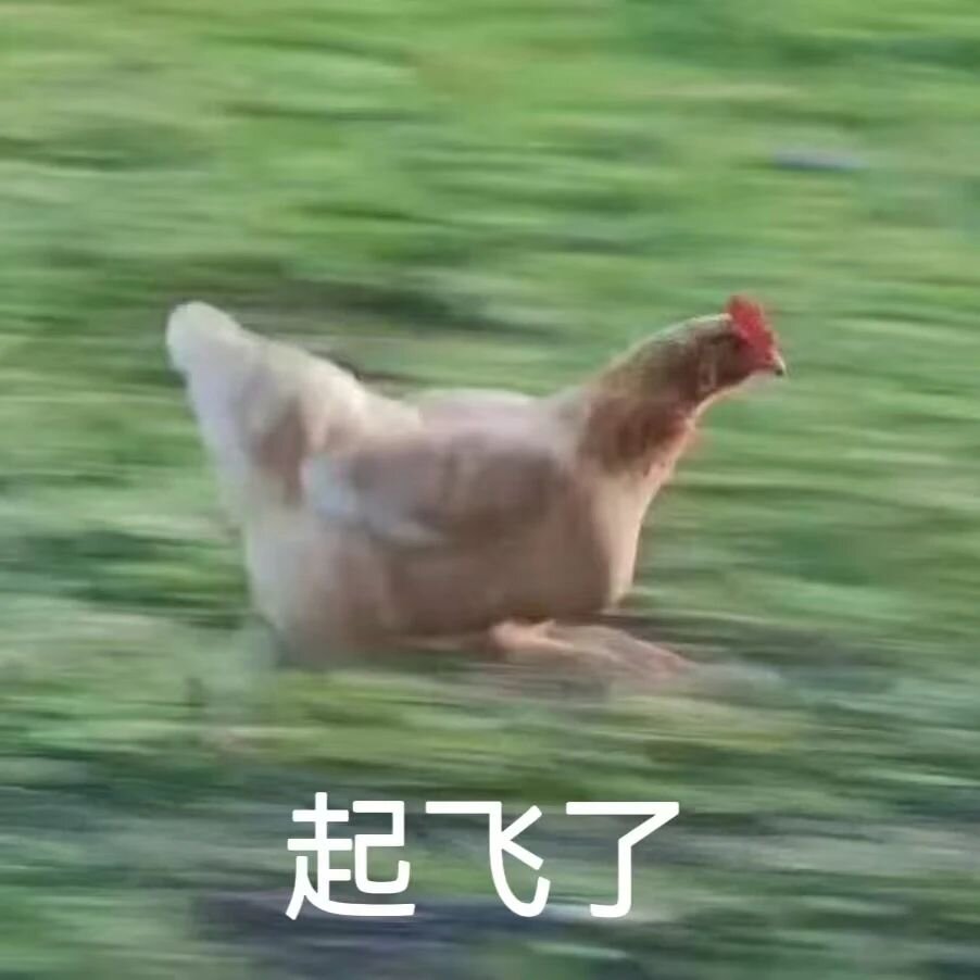 微信图片_20250808010827.jpg